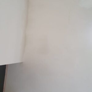 IMG-20250725-WA0040